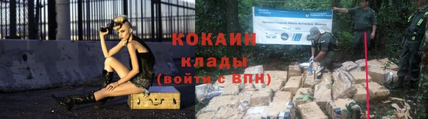 мдпв Карпинск