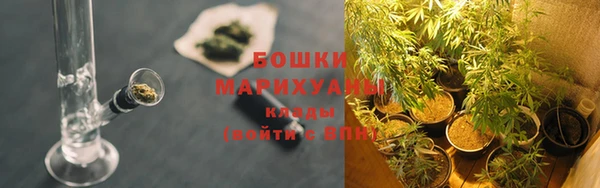 мдпв Карпинск