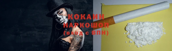 мдпв Карпинск